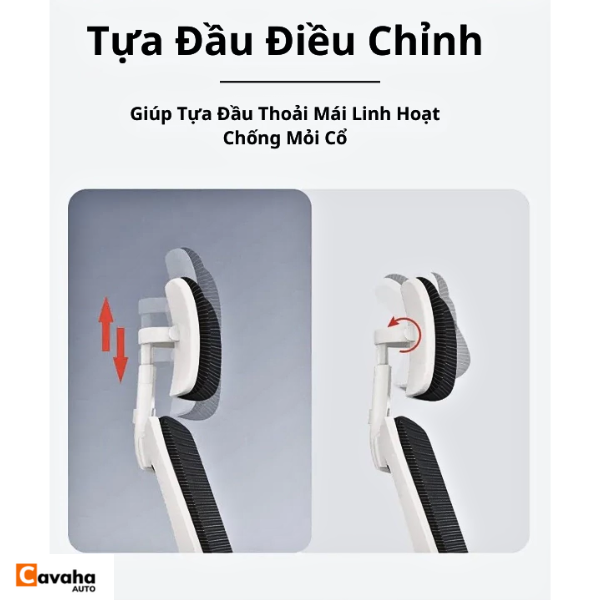 Ghế Xoay Công Thái Học 