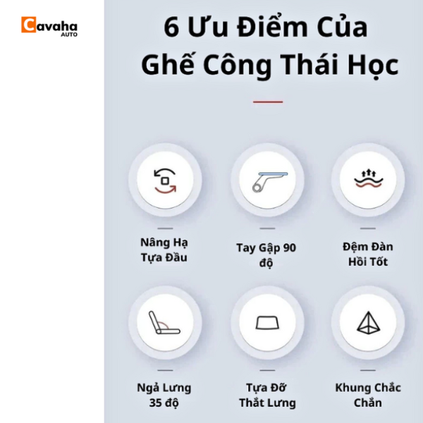 Ghế Xoay Công Thái Học 